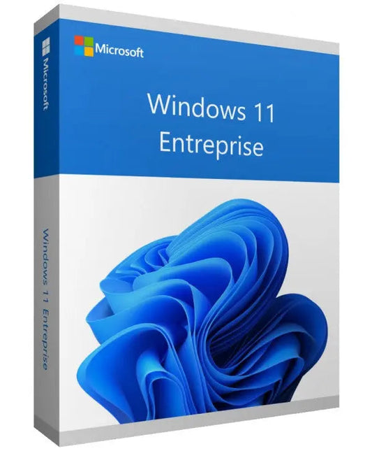Microsoft Windows 11 Entreprise 1 PC K Software Informatique